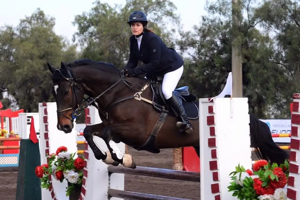 Rider wearing a helmet and show attire guiding a dark brown horse as it jumps over a red and white obstacle during an outdoor equestrian competition.