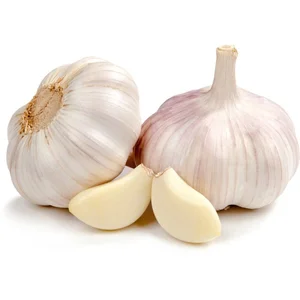 Garlic