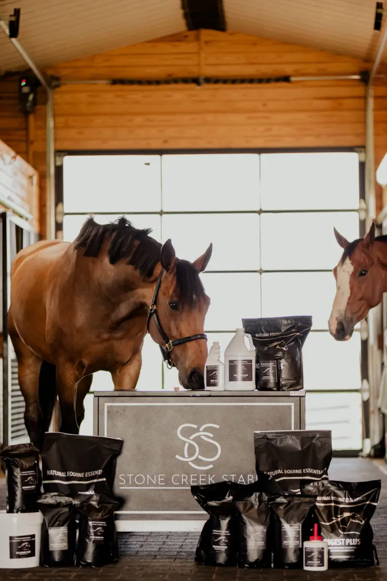 Two bay horses lean in to sniff a display of Natural Equine Essentials supplements and grooming products arranged on and around a Stone Creek Stables display box inside a wooden stable.