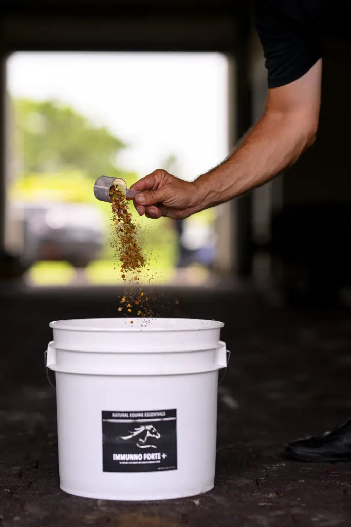 Hand pouring a grain-based Natural Equine Essentials Immuno Forte+ supplement from a measuring scoop into a white bucket inside a barn aisle.