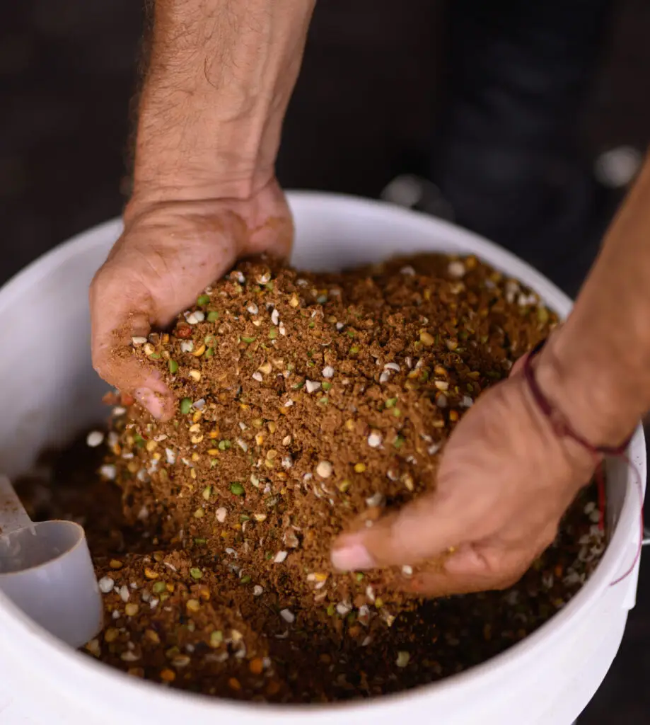 Close-up of hands mixing a grain-based horse supplement blend inside a white bucket, with visible seeds and pellets throughout the mixture.