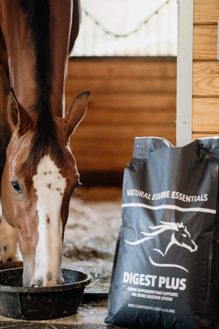 A chestnut horse with a blaze eats from a bowl on a stable floor beside a bag of Natural Equine Essentials Digest Plus digestive supplement.