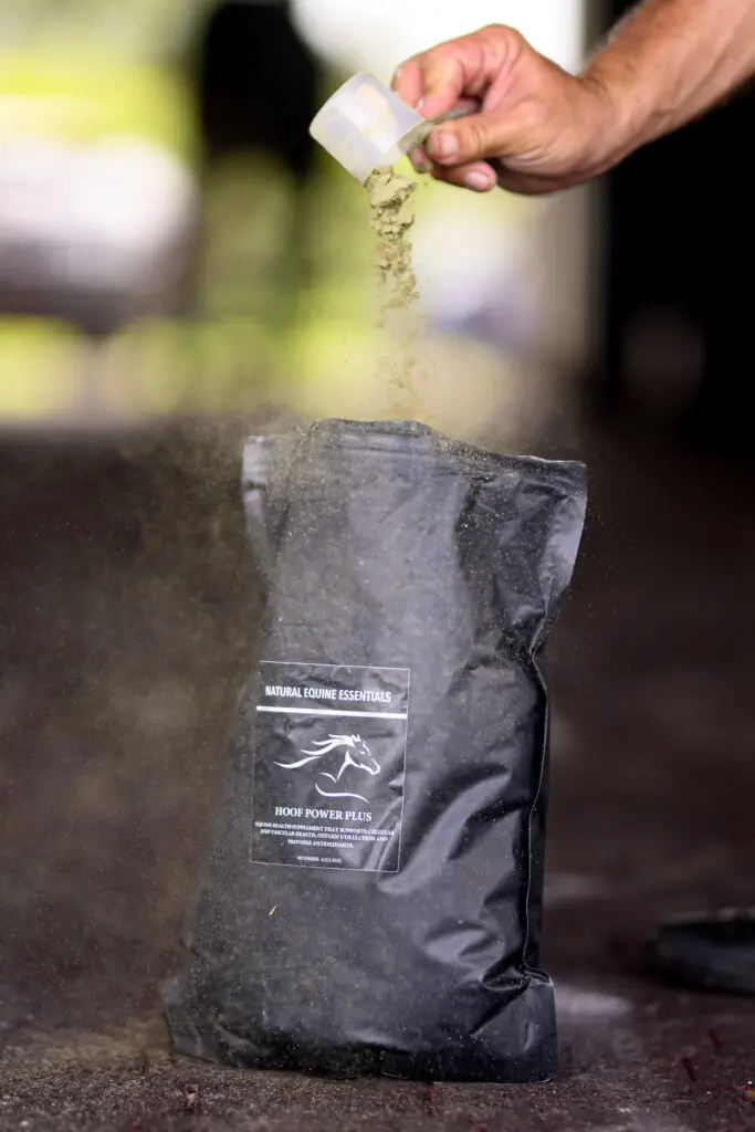 Hand pouring green powdered Natural Equine Essentials Hoof Power Plus supplement from a measuring scoop into an open black pouch inside a barn aisle.