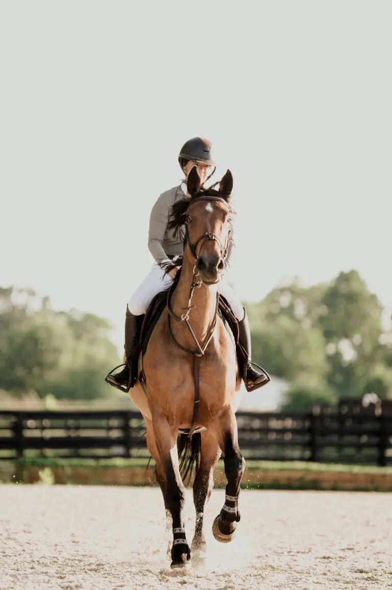 A rider in a helmet and breeches canters a bay horse directly toward the camera in a sandy outdoor arena, with a wooden fence and trees visible in the background.