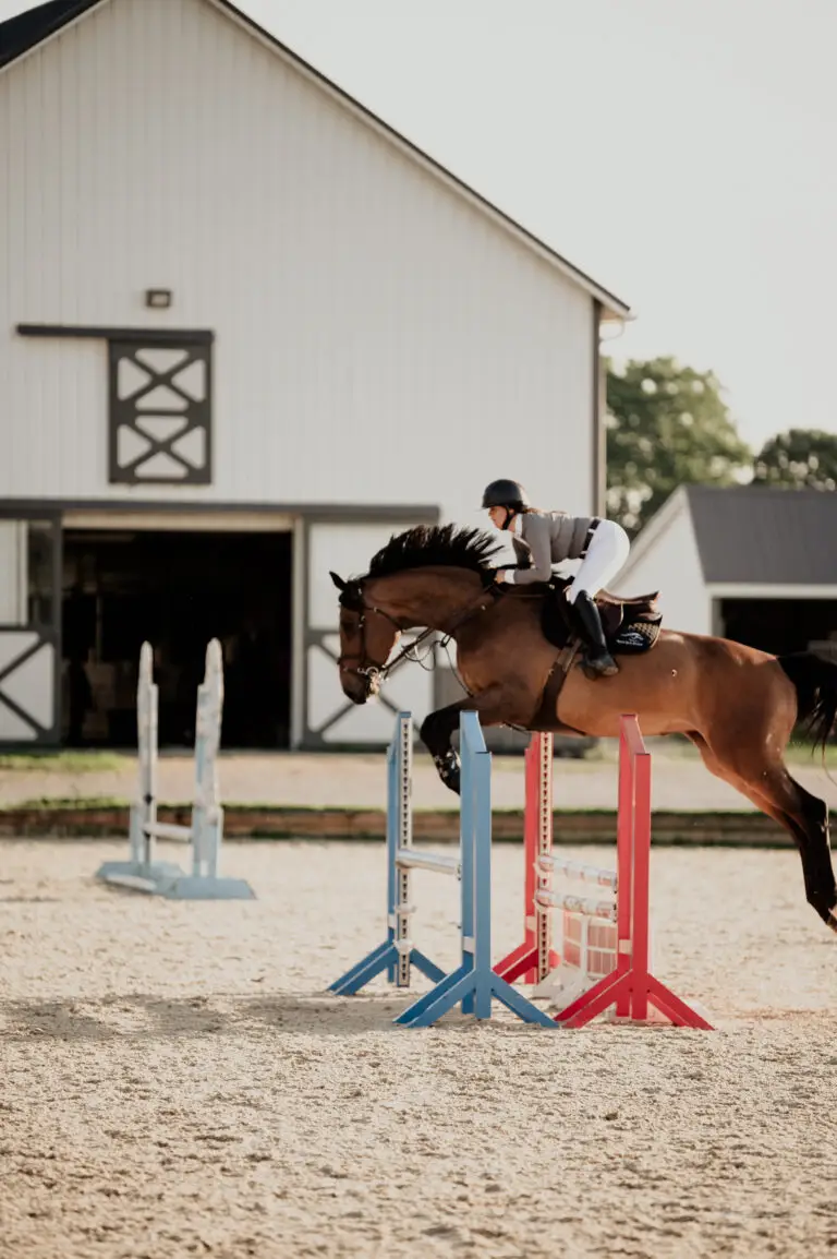 A rider in a helmet and breeches jumps a bay horse over a red and blue show jump in a sandy outdoor arena, with a white barn visible in the background.
