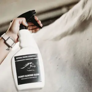 Hand holding a Natural Equine Essentials Honey Almond Glow spray bottle near a white horse’s coat, preparing to apply the product for shine and grooming.