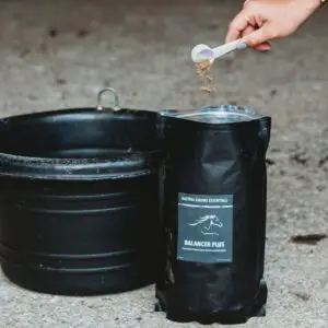Hand holding a white scoop of granular supplement above a black feed tub next to a Natural Equine Essentials Balancer Plus pouch in a barn aisle.