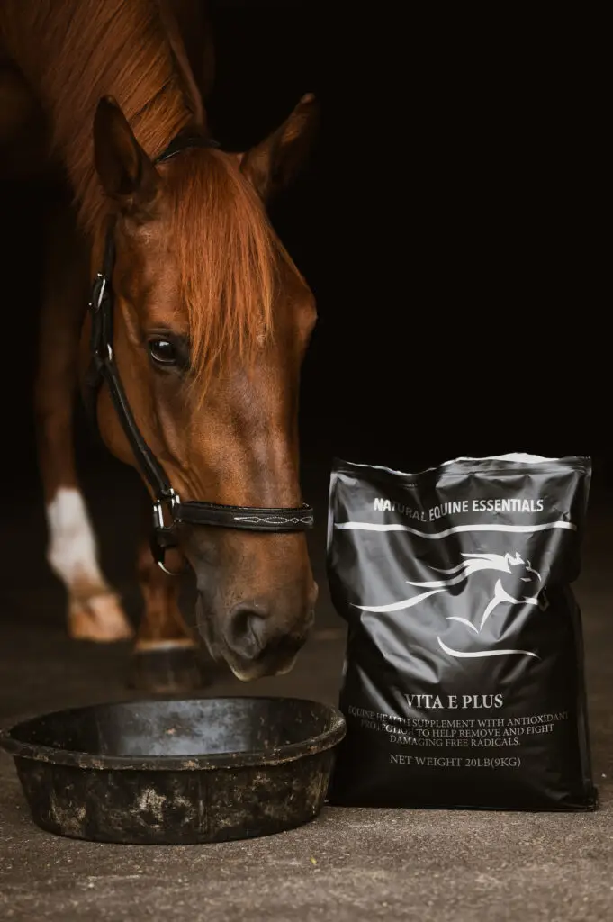 A chestnut horse wearing a halter stands beside a black feed bowl with a Natural Equine Essentials Vita E Plus supplement bag positioned next to it.