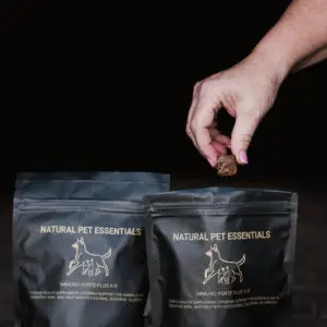 Immunno Forte Plus K-9