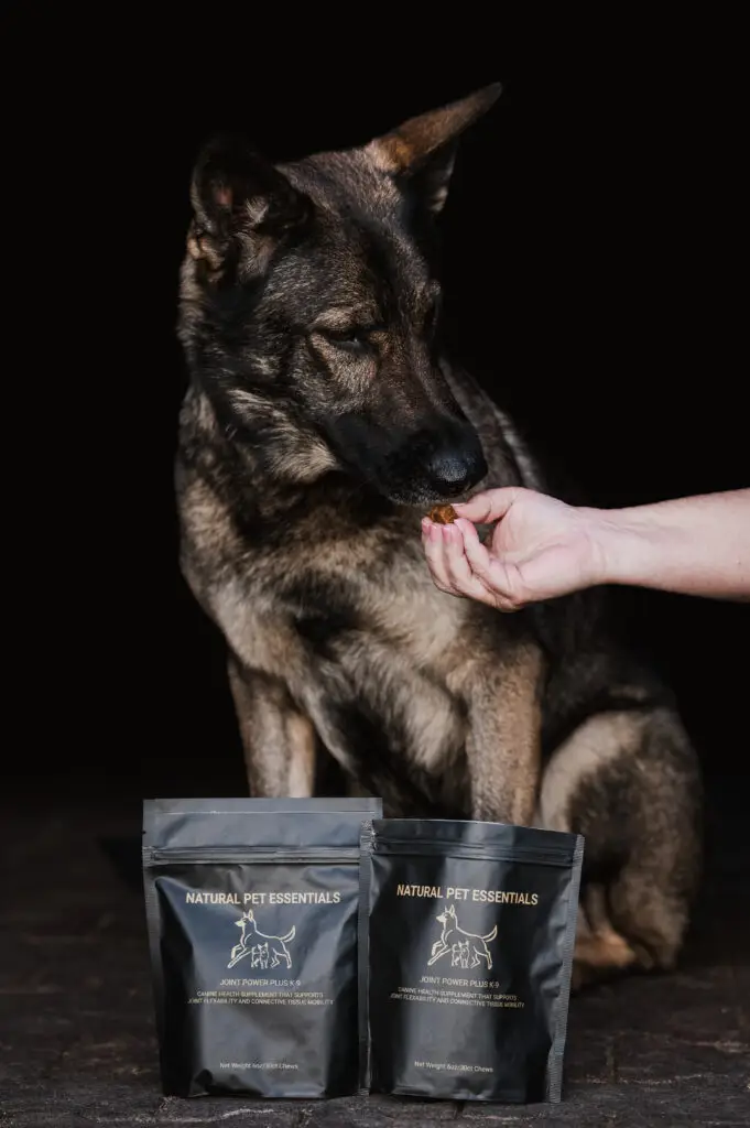 A large shepherd-type dog gently takes a supplement chew from a person’s hand, with two Natural Pet Essentials Joint Power Plus K-9 bags displayed in front against a dark background.