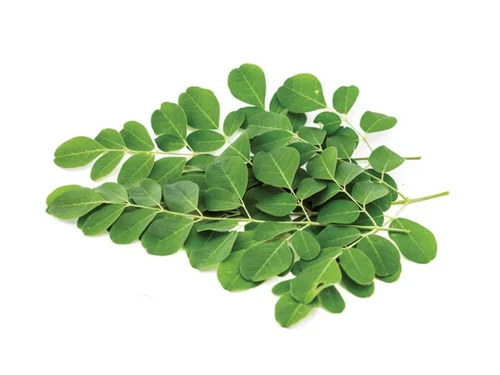 Moringa