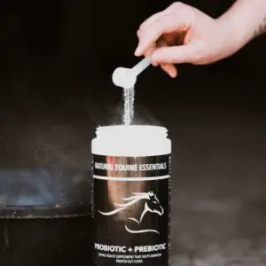 Hand pouring white powdered Natural Equine Essentials Probiotic + Prebiotic supplement from a measuring scoop into an open container inside a stable.