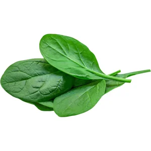 baby-spinach-freshleaf