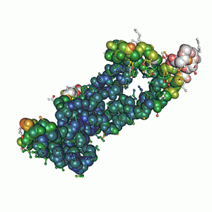 Lipase