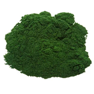 spirulina-powder