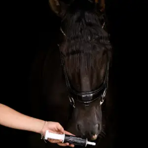 Equus Fuel Paste